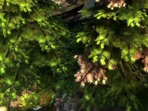 Puzzle - Piste de Griffonroc - Guild Wars 2