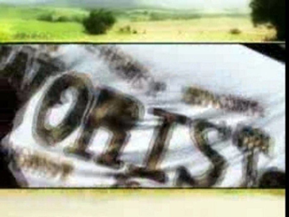 Téworist 2