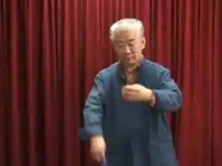 MC Auto Silk Changer by Mikame - Magic Trick