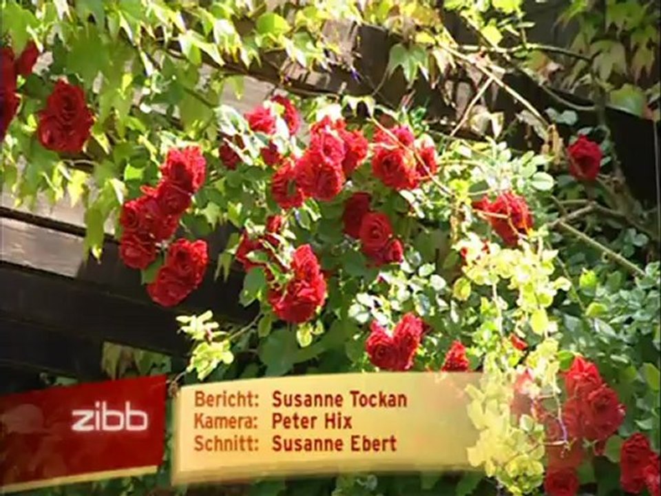 Jugend kocht für Senioren- RBB Sendung vom 27.06.2012