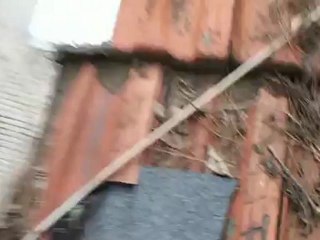 problème infiltration toiture