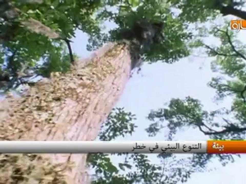 عالم :التنوع البيئي في خطر
