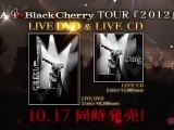 #motorod records #acid black cherry #jpop