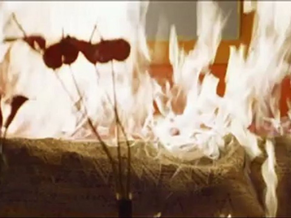 "Donnie Darko" - ApsidalTill remix