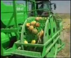 toplamalı kabak çekirdeği hasat makinası - ÖZKAN TARIM MAKİNA SANAYİ - www.ozkantarmak.com