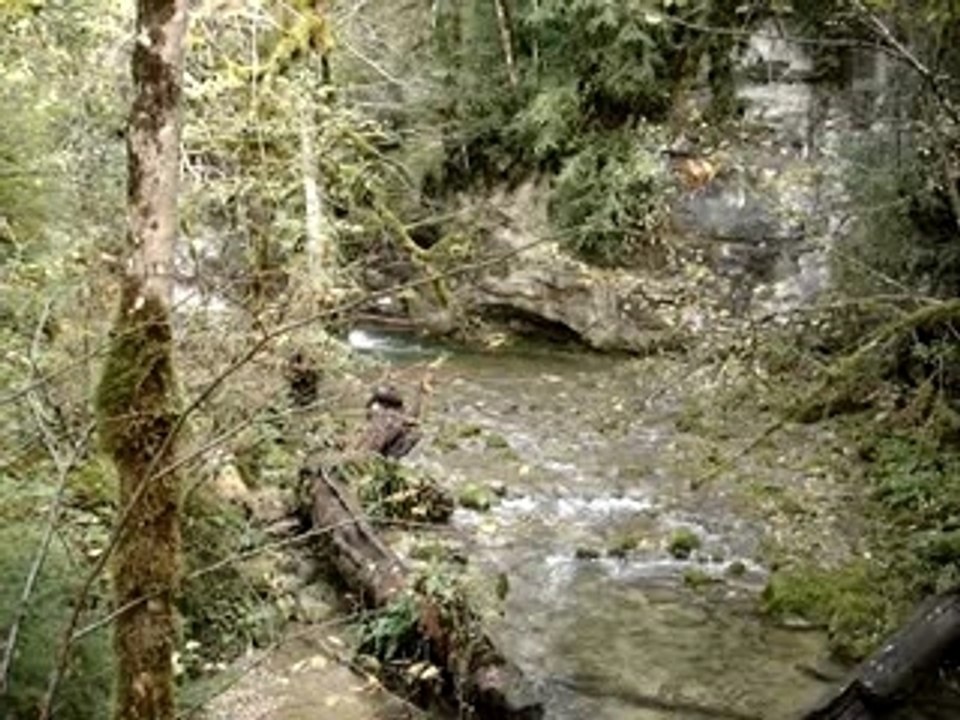 Cascade du moulin de Vulvoz 1