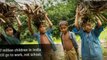 Say No to Child Labour & Stop Abuse - India Child Labour