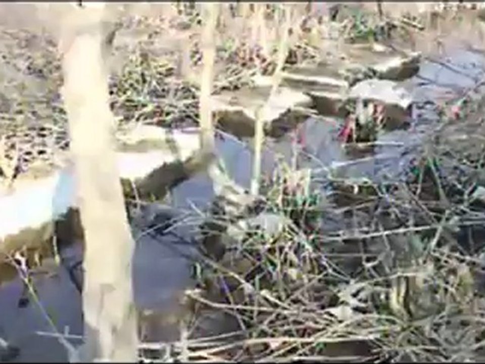 Apollon Tapınağı,Gölyazı, Kız Adası,Yönetmen, Tekin Gün,Yapım:Prestij Belgesel,Prestij Film,Prestij Prodüksiyon,Kurgu Aytekin Gün