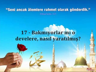 Ğaşiye Suresi ve Yüce Meali