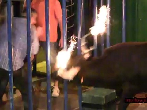 Bous 2012 Sant Miquel