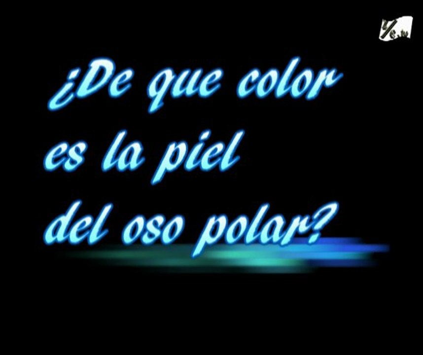 PREGUNTA 4