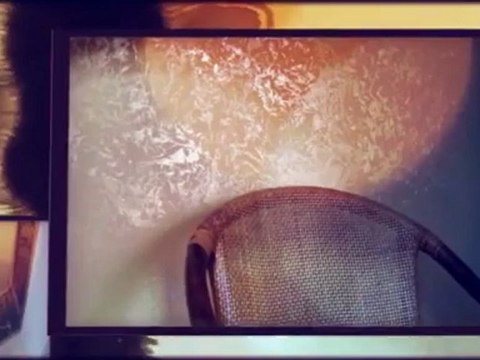 Faux Interiors - (239) 777-2523