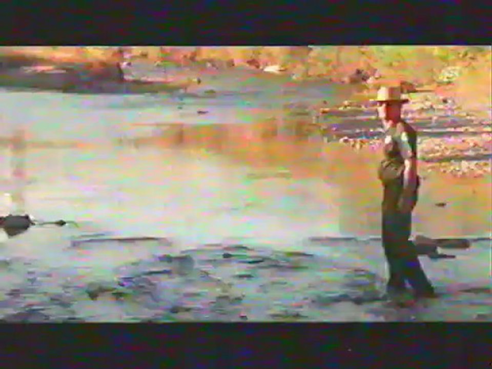 the border-usa1983part00001