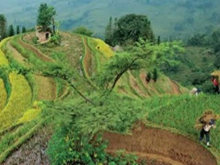 7 Billion, National Geographic Magazine