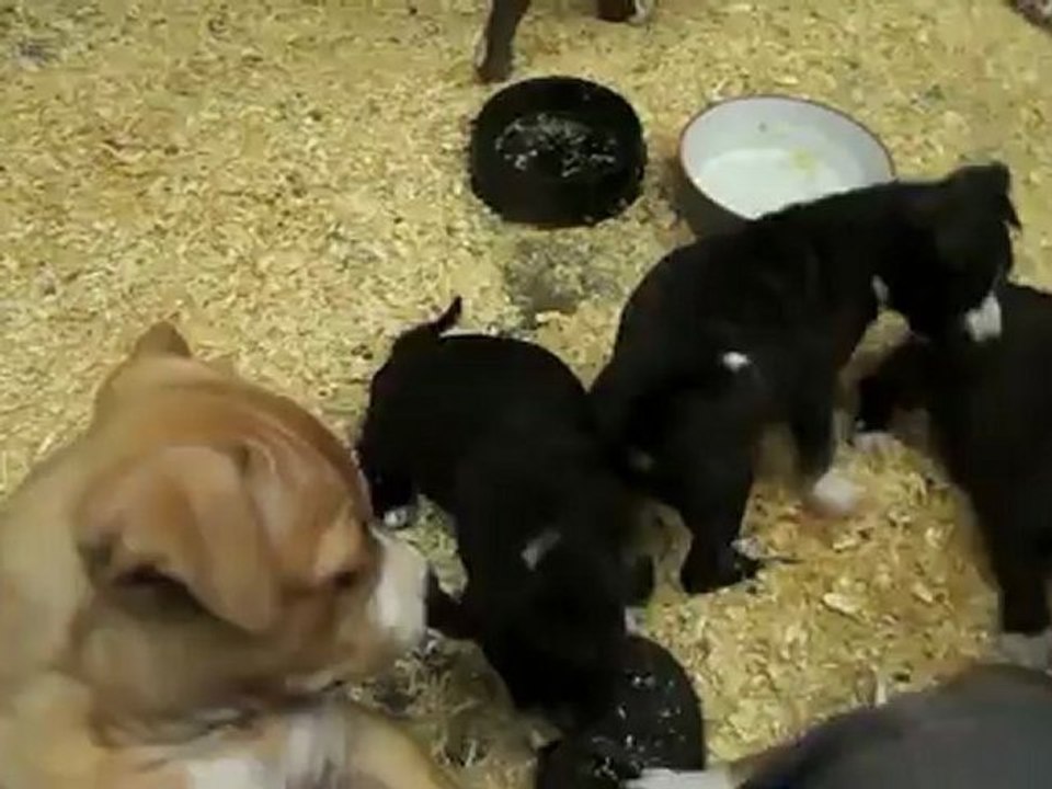 DSCN2625