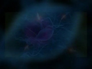 multiple sclerosis treatment