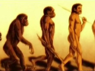 l'évolution de l'homme