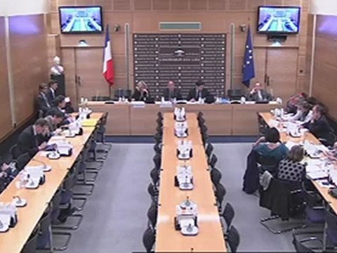 Com Lois 4 oct 2012 Audition Mme FALQUE PIERROTIN CNIL