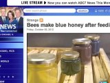 Beekeepers Astounded By Blue Honey