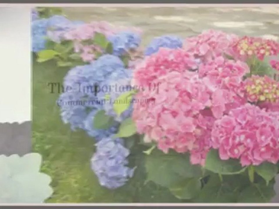 Commercial Landscaping