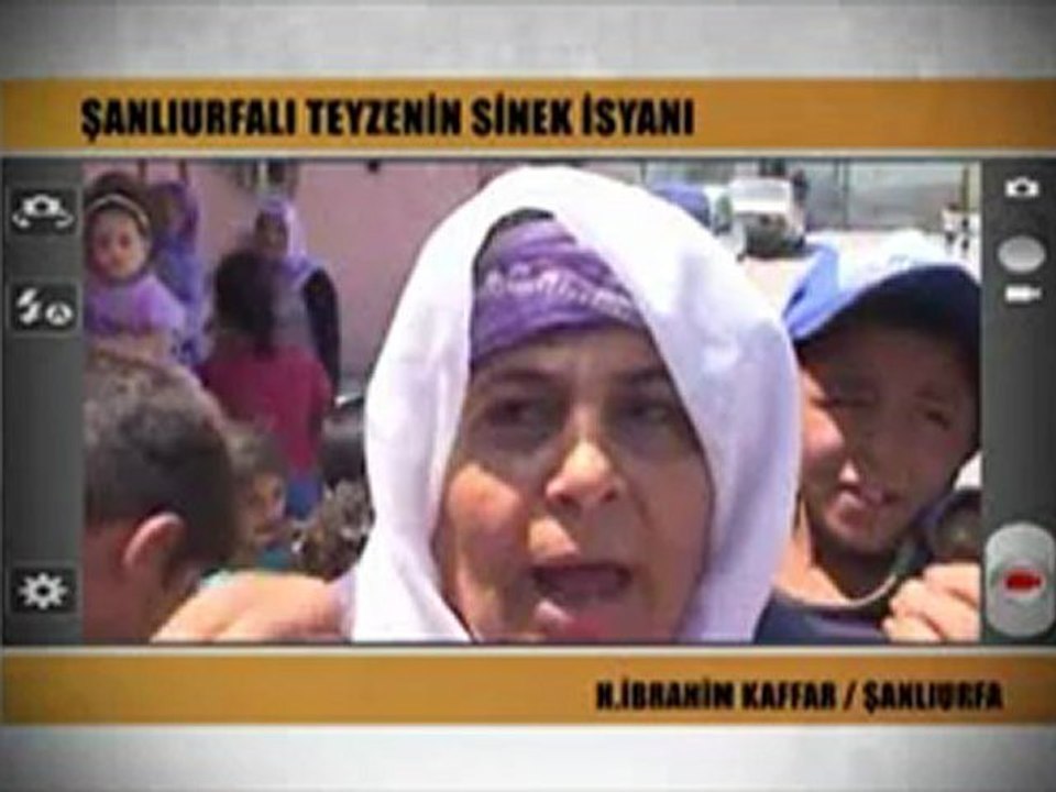Sinek İsyanı (Haber Sizsiniz de)