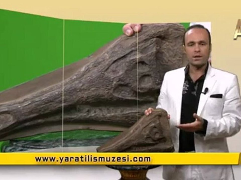 MİLYONLARCA YILDIR DEĞİŞMEYEN TİMSAH