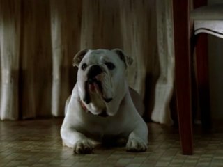 Teens are ugly and disgusting ? Proof in pictures