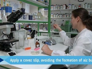 EMbaRC - Fungi under the Optical Microscope