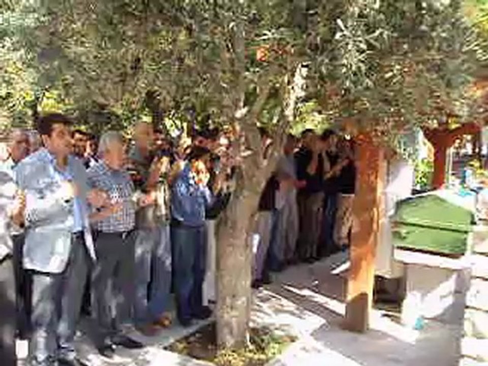 MOV00903