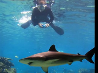 فندق رويال بالاس رحلات عيد الاضحى