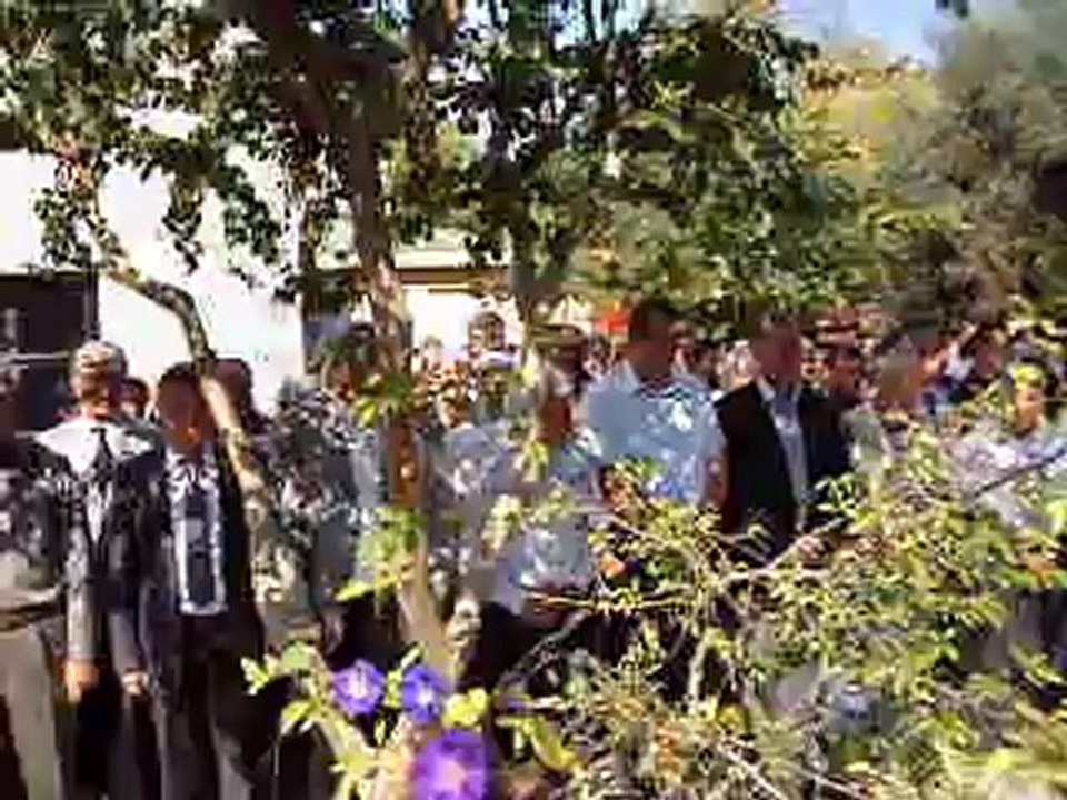 MOV00901