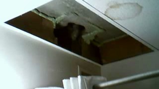 The Tiles Of Ceiling Caved In Shortly Before Yom Kippur 2012