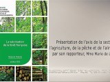 la valorisation de la forêt française - cese