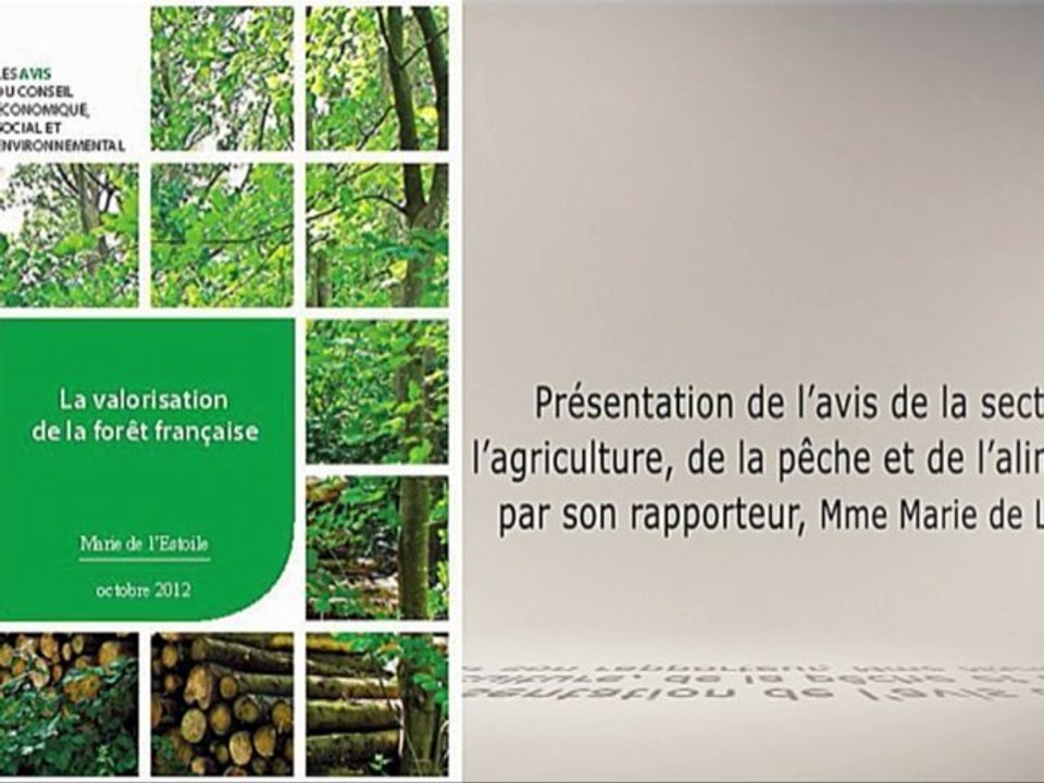 la valorisation de la forêt française - cese