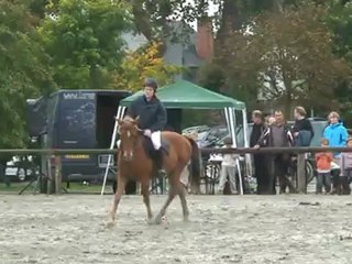 C.S.O. 07.10.2012 → Tango & Nolwenn 85cm