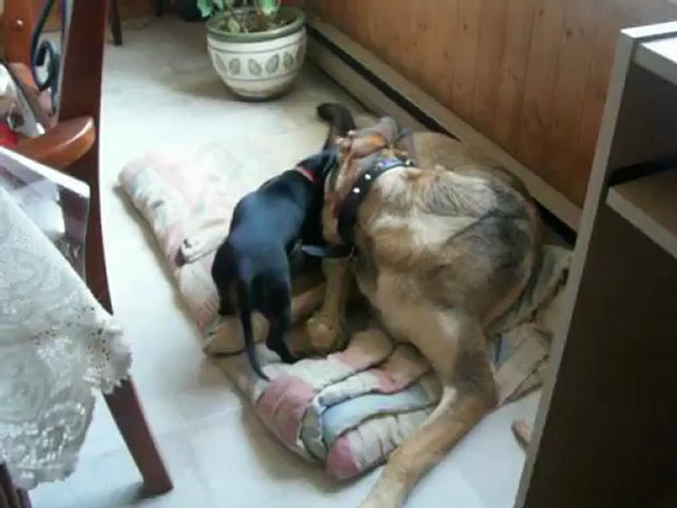 Chloé et Charlotte 01