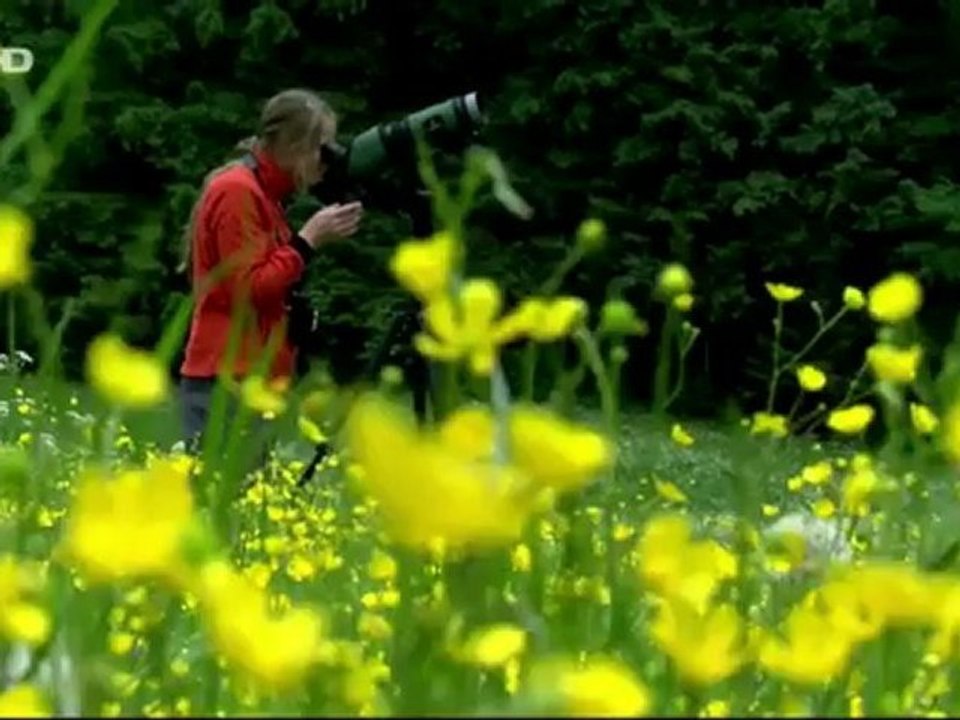 Terra X: Deutschland von oben (1) Land (HD) - ZDF