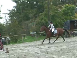 C.S.O. 07.10.2012 → Amélie & Hussard 75cm