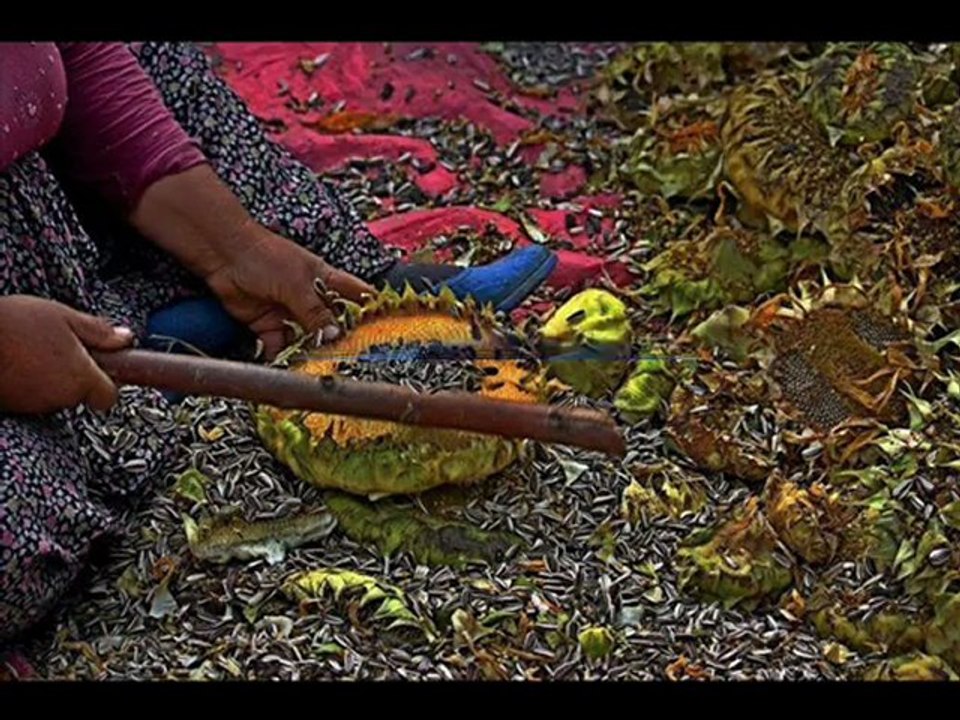 Orada Uzakta Dursunbey`de Bir Köy Var, Okulu Var Ama Öğretmeni Yok...!