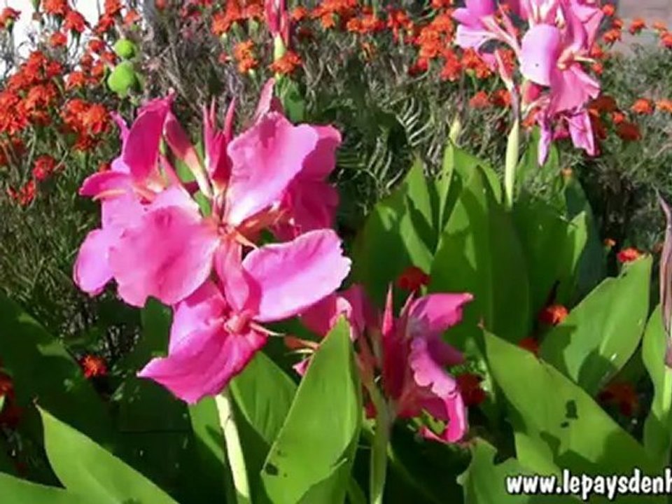 Partie 4 / 4, Tour des Annapurnas et lac Tilicho, trekking au Népal