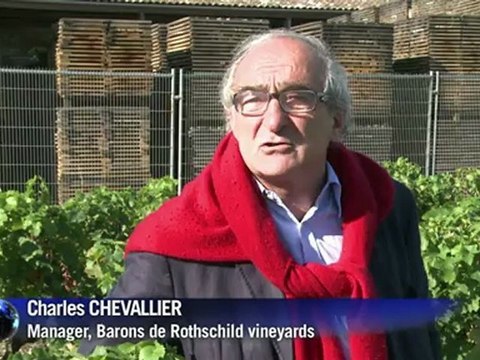 Oak barrels and fine wine - a perfect chemistry