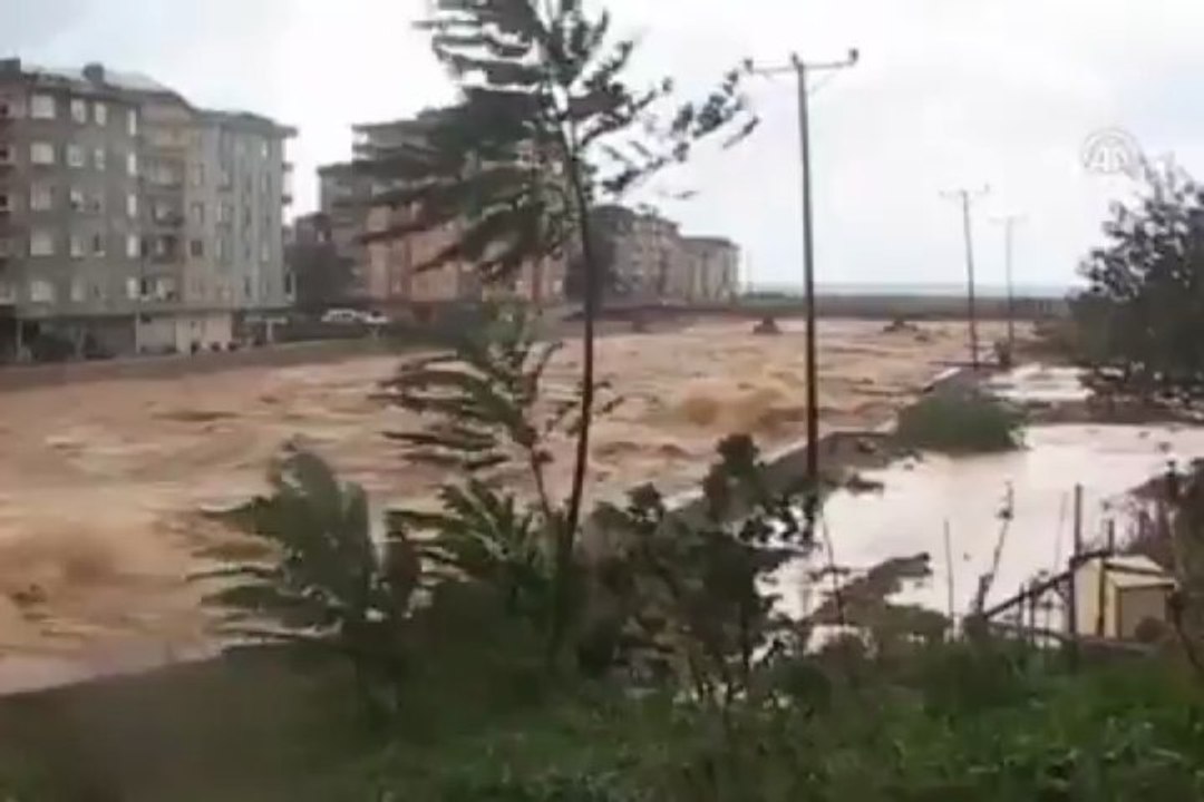 Arılı deresi taştı