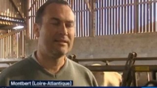 Sofiprotéol, bête noire des agriculteurs. Reportage France 3