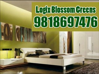 Logix Blossom Green - 9818697476