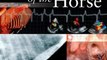 Medical Book Review: Cardiology of the Horse, 2e by Celia Marr BVMS MVM PhD MRCVS, Mark Bowen BVetMed PhD CertEM(IntMed) MRCVS