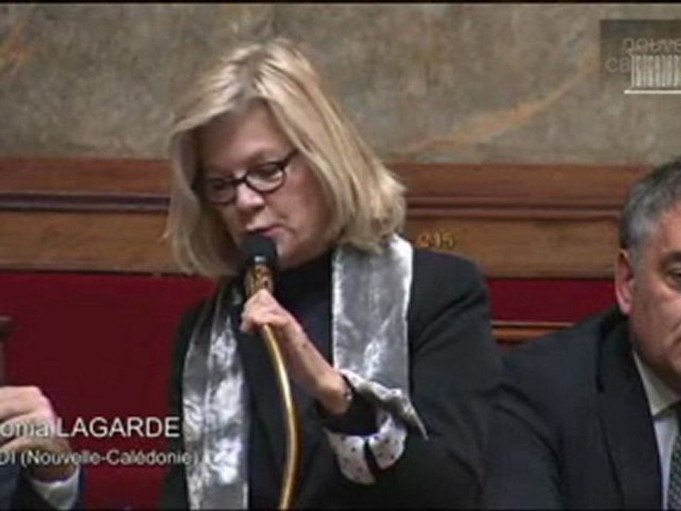 Question de Sonia Lagarde au Ministre de la Culture au sujet de NC 1ère