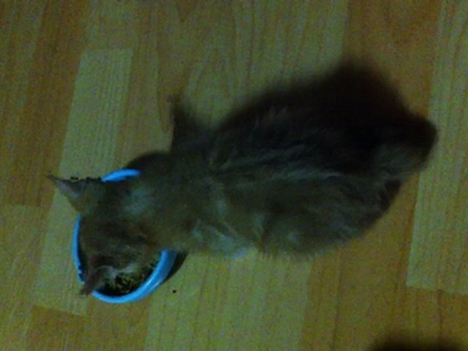 120917