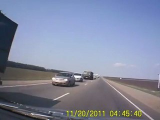 Неожиданный побег гусей: как они сбежали с фермы 🦆