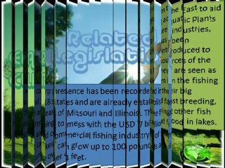 crown capital management l A solution for Asian carp infestation