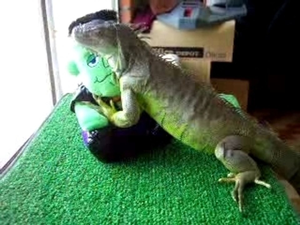 Kika y Monster Man